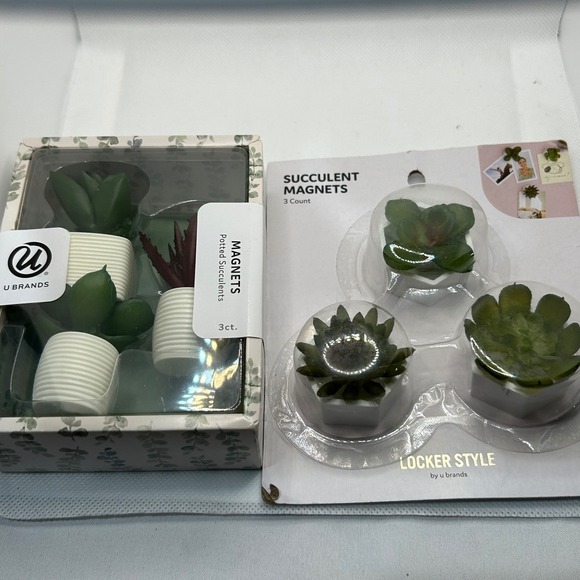 Succulent Plant Magnets 6 Count Potted Faux Plant Locker Fridge Plastic Novelty - Picture 7 of 9